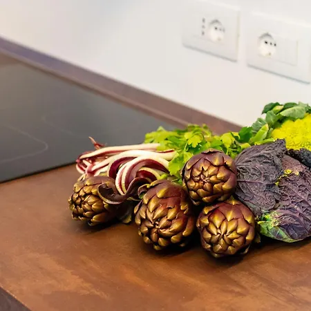 Ca' Vida Terrazze 베니스